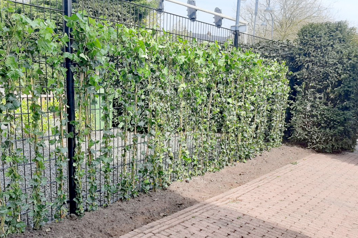 Hekwerk laten plaatsen in Haaksbergen